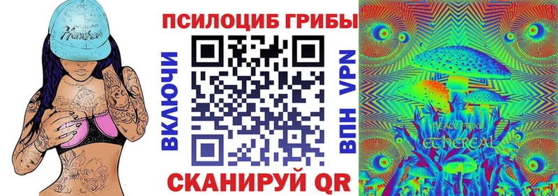 где найти   Зуевка  Псилоцибиновые грибы Magic Shrooms 
